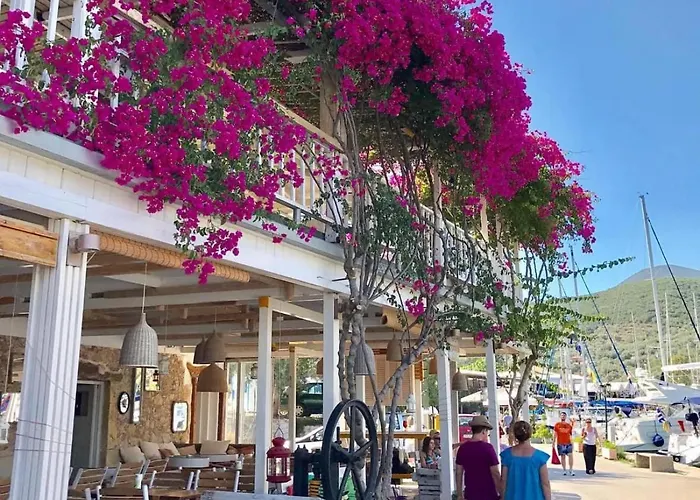 Kathisma Bay - Luxury Villas- Oceanos
